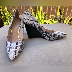 Brand New Coach White Graphic Snake Print